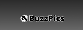 Impressum | BuzzPics