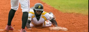 Termine | Baseball Deutschland