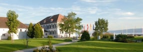 Aktuell | FDP in Bodman-Ludwigshafen