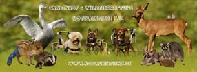 Aktuell | Gnadenhof & Wildtierrettung Notkleintiere e.V.