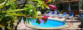 Anmelden | "Finca - Hibiduri - Gran Canaria"