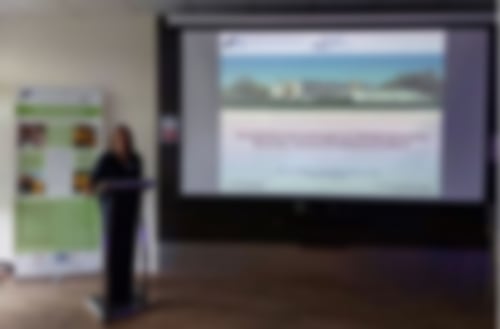 Antje Schulenberg an einem Pult neben einer Leinwand bei einem Vortrag im TV Raum der Klinik Solequelle