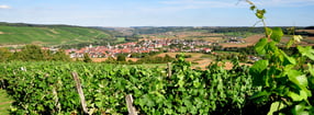 Impressum | Markelsheim