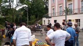 Anmelden | Kurstadt für alle