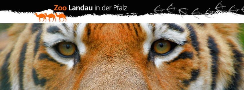 Zoo Landau in der Pfalz - Willkommen! | Zoo Landau