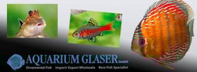 Impressum | Aquarium Glaser GmbH