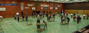 Aktuell | Tipp-Kick Delligser SC