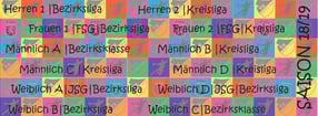 Termine | TV Brenz Handball - Fanpage