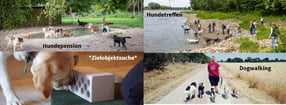 Aktuell | Beas Haustierservice
