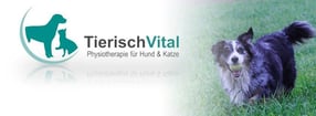 Anmelden | Tierphysiotherapie Tierisch Vital