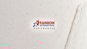 Termine | Rainbow International Deutschland