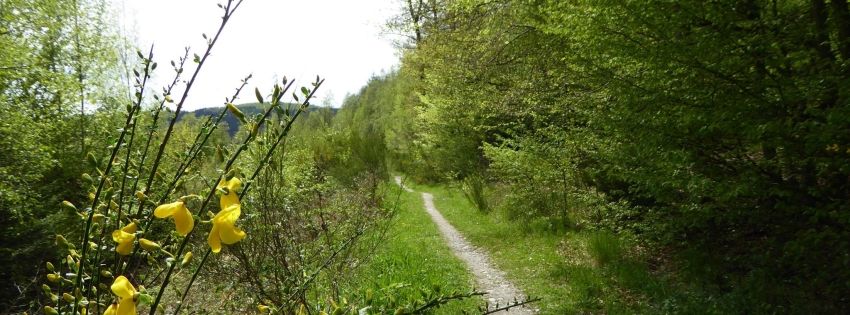 Aktuelle Termine | Trailrunning Eifel