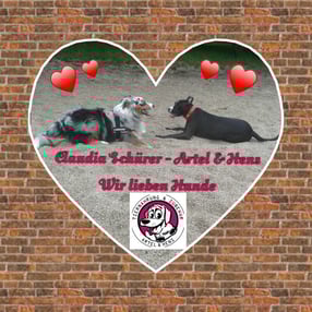 Aktuell | Claudia Schürer - Artel & Hens