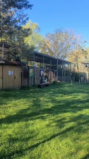 Aktuell | Vogelschutzwarte Storchenhof Loburg e.V.