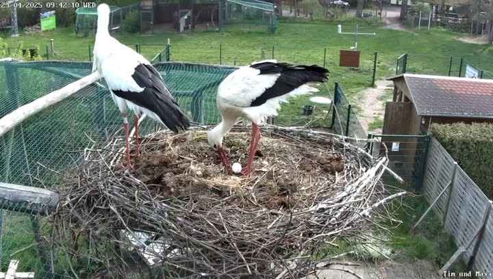 Aktuell | Vogelschutzwarte Storchenhof Loburg e.V.