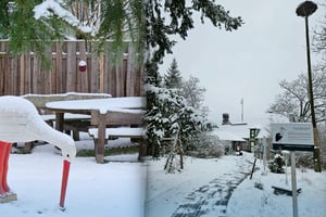 Aktuell | Vogelschutzwarte Storchenhof Loburg e.V.