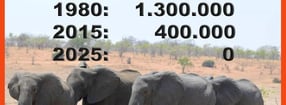 Aktuell | Rettet die Elefanten Afrikas e.V.