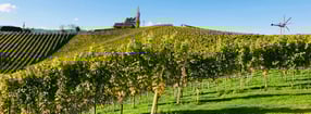 Anmelden | Weingut Buschenschank Weiss-Welle