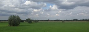 Termine | Flohmarkt für die Lutherstadt und den Landkeis Wittenberg