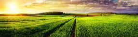 Iccjv Homepage | International Common Law of Justice, Vienna