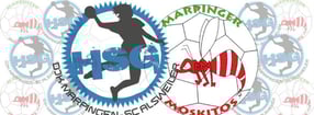 Impressum | HSG DJK Marpingen - SC Alsweiler 2