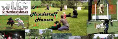 App Hundetreff Hausen