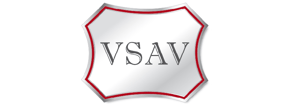 Impressum | VSAV e. V.