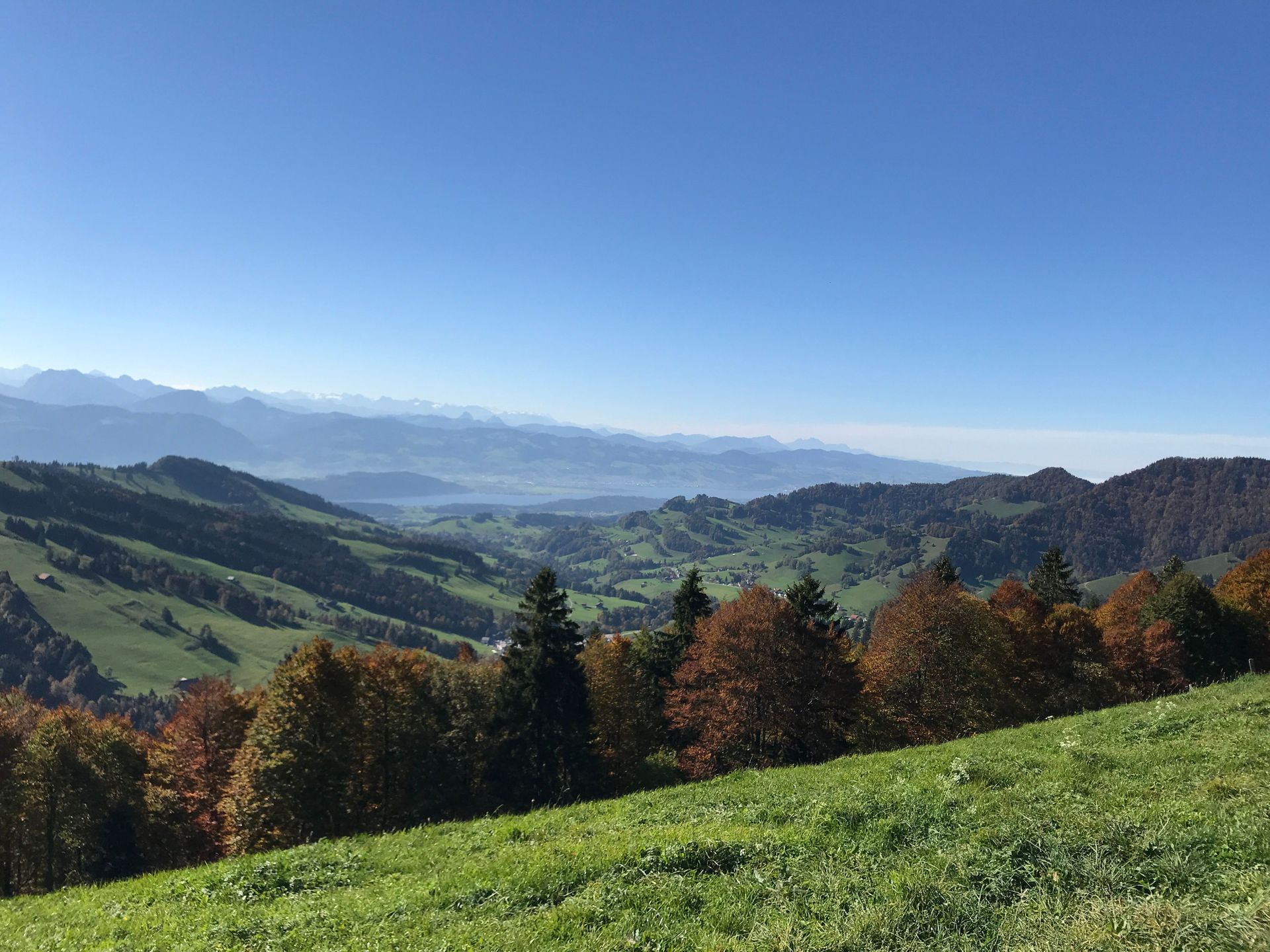 Aktuelle Termine