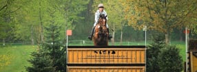 Aktuell | Pferdefotografie Tina Keller