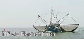 Anmelden | Krabbenfischer Niels