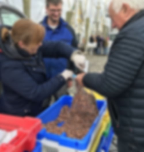 Krabbenverkauf am Kutter