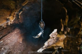 Termine | Christian Friedl