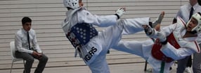 Impressum | Taekwondo Tigers Berlin