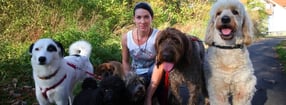 Deniz Inan Tierbetreuung und Hundeschule mit Herz