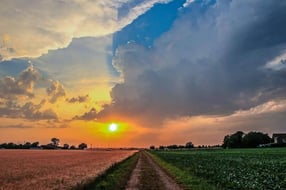 Vorhersagen und Warnungen - Wettervorhersage