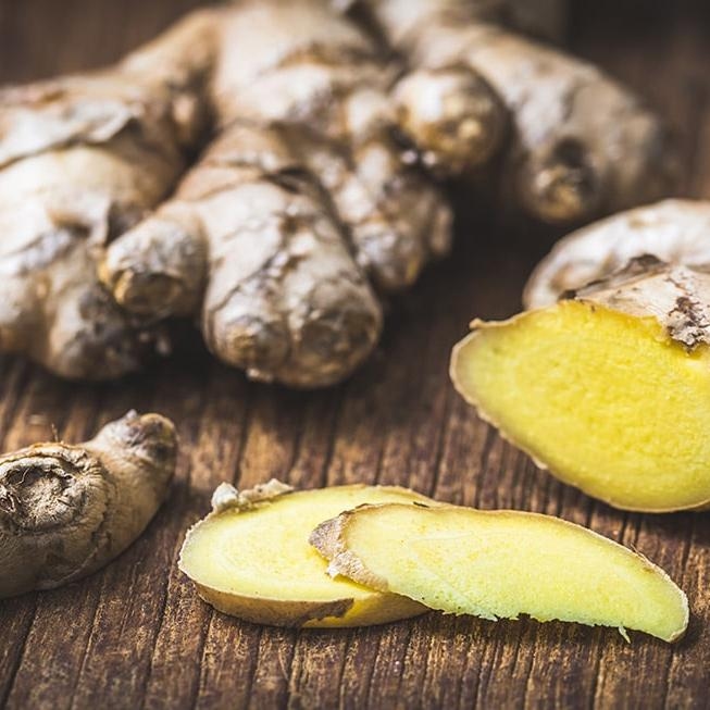 Aktuell | Gesundheits-Frage.de