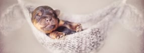 Aktuell | Manü Matz Fotografie