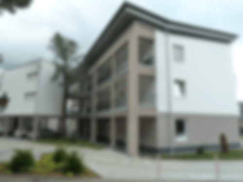 Dach7