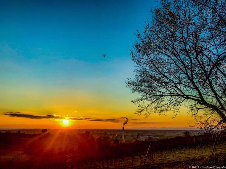 Aktuell | Lichtreflexe Fotografie