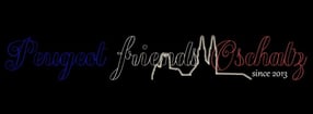 Aktuell | Peugeot friends Oschatz