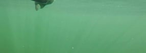 Impressum | Mios Lures