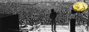 Bilder | Fehmarnfestivalgroup e.V.