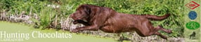 Impressum | Hunting Chocolates Labradors