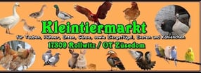 Termine | Kleintiermarkt Züsedom