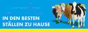 Impressum | Lemmer Fullwood GmbH