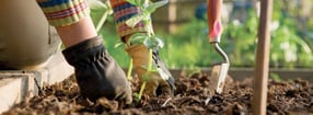 Aktuell | Arbeitsgemeinschaft deutscher Junggärtner