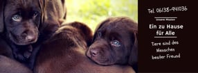Termine | Menschen pro Tiere e.V.