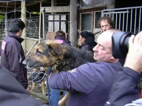 Termine | animal-peace TIERHOF