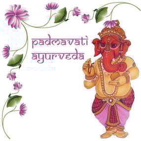 Anmelden | PADMAVATI Ayurveda