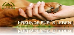 Neukunde? | REICO Vital-Systeme, Michaela Brassen, Beraterin Gelsenkirchen
